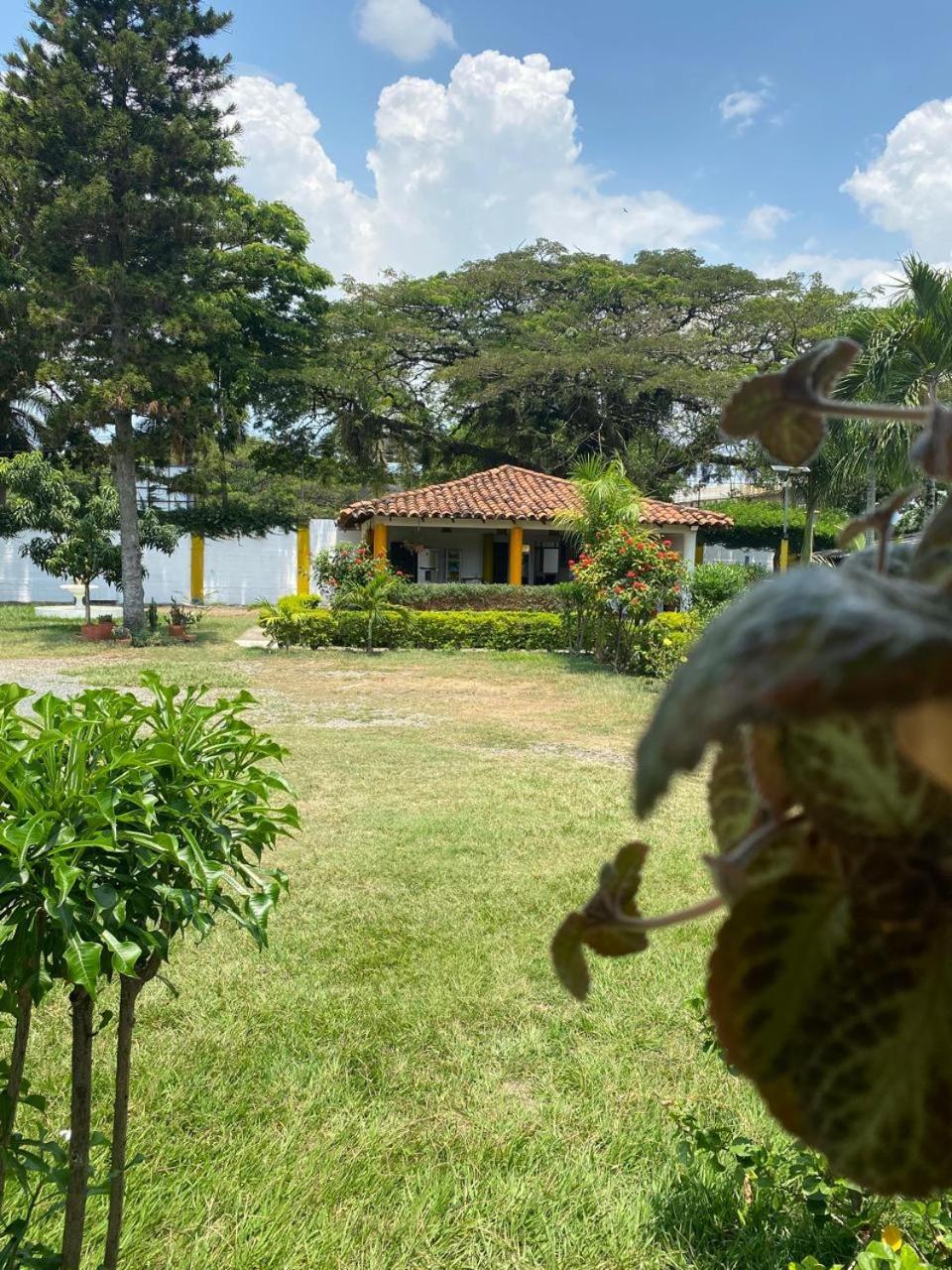 Bosco Hostal